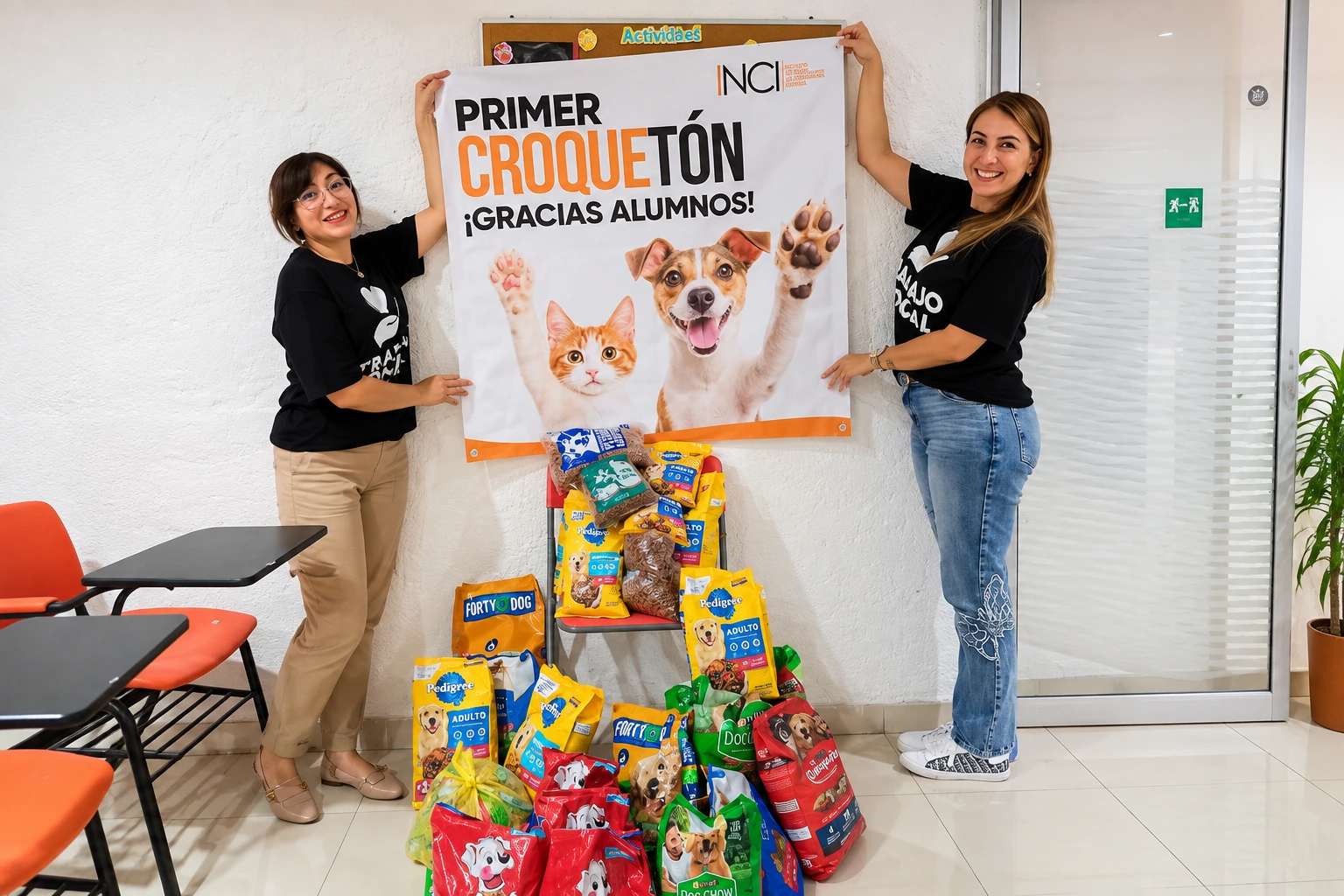 Comunidad INCI y actividades institucionales